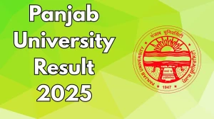 Panjab University Result 2025 Released at puexam.in Direct Link to Download 2nd and 6th Semester Result