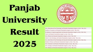 Panjab University Result 2025 Released at puexam.in Direct Link to Download Second and Fourth Semester Result