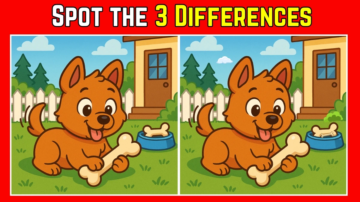 Picture Puzzle IQ Test: Within 8 Seconds Spot The 3 Differences in this Dog Image