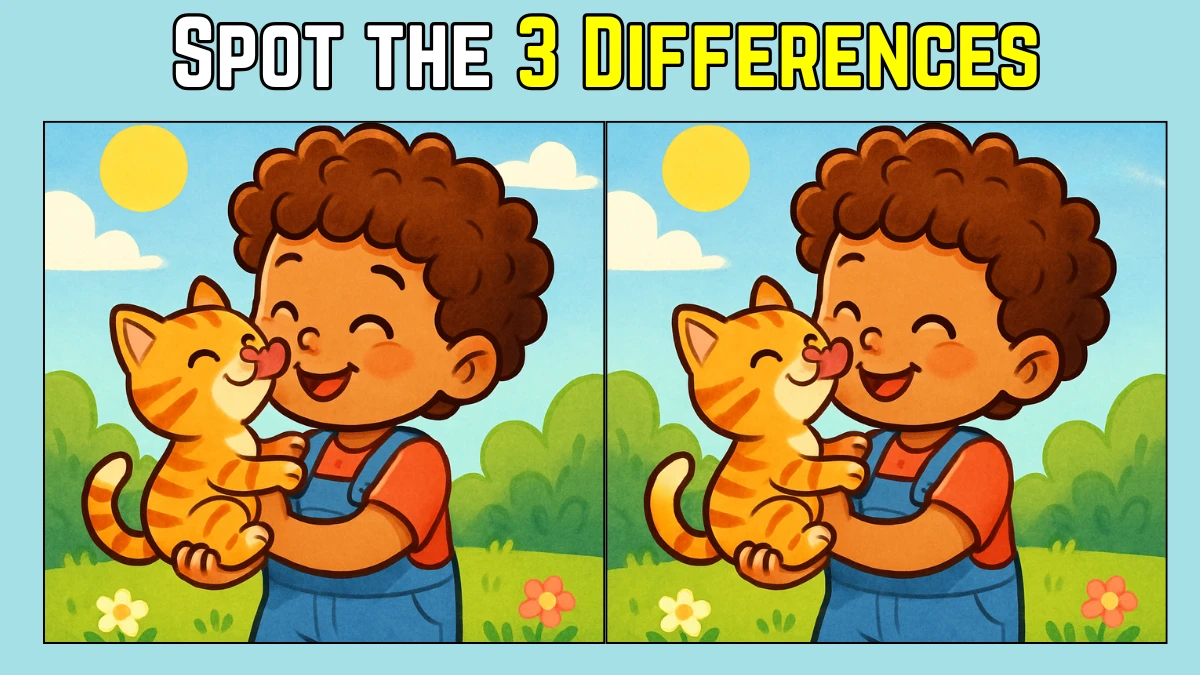 Picture Puzzle IQ Test: Within 8 Seconds Spot The 3 Differences in this Girl Playing with Cat Image