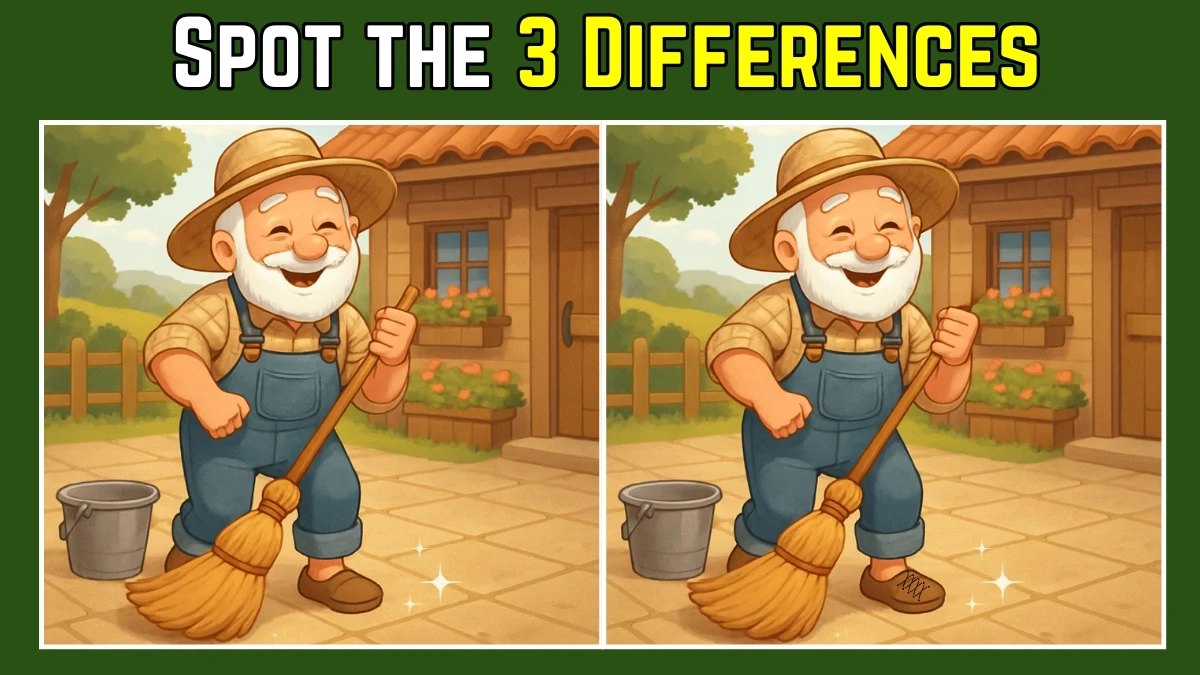 Picture Puzzle IQ Test: Within 8 Seconds Spot The 3 Differences in this Old Man Cleaning Floor Image