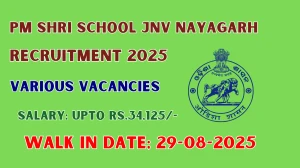 PM Shri School JNV Nayagarh Recruitment 2025 – Walk in for 08 Sport Coach, Yoga Teacher and More Posts PM Shri School JNV Nayagarh Recruitment 2025 – Walk in for 08 Sport Coach, Yoga Teacher and More Posts