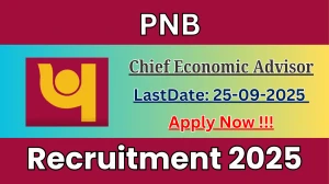 PNB Chief Economic Advisor Recruitment 2025 - Apply Online for 01 Posts by Sep 25