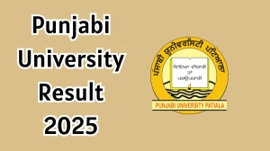 Punjabi University Result 2025 Out at pupexamination.ac.in Direct Link to Download 1st to 6th Semester Result