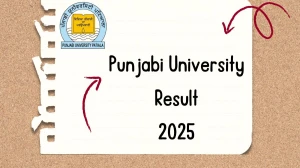 Punjabi University Result 2025 Released at pupexamination.ac.in Direct Link to Download 1st to 7th Semester Result
