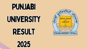 Punjabi University Result 2025 Released at pupexamination.ac.in Direct Link to Download 3rd, 4th and 5th Semester Result