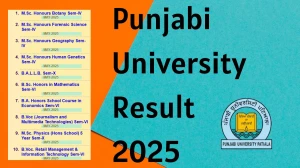 Punjabi University Result 2025 Released at pupexamination.ac.in Direct Link to Download 4th Semester Result