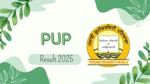 PUP Result 2025 Released at pupexamination.ac.in Direct Link to Download 1st, 2nd, 3rd, 4th, 6th, 10th Semester Result