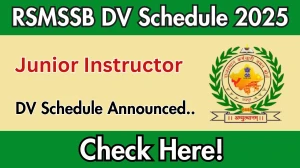 RSMSSB Junior Instructor DV Schedule 2025: Check Document Verification Date @ rsmssb.rajasthan.gov.in RSMSSB Junior Instructor DV Schedule 2025: Check Document Verification Date @ rsmssb.rajasthan.gov.in