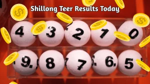 Shillong Teer Result Today August 19, 2025: Check 1st & 2nd Round Winning numbers, Shillong Teer Common Number & Result List here