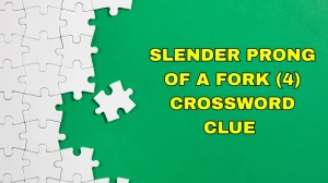 Slender prong of a fork Crossword Clue Irish Daily Mail Quick 4 letters Answer