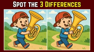 Spot the Difference: Within 7 Seconds Spot The 3 Differences in this Boy Playing Instrument Image