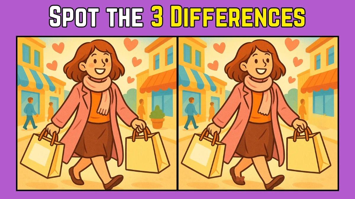 Spot the Difference: Within 7 Seconds Spot The 3 Differences in this Woman Carrying Grocery Image