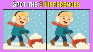 Spot the Difference: Within 8 Seconds Spot The 3 Differences in this Boy Cleaning Snow Image