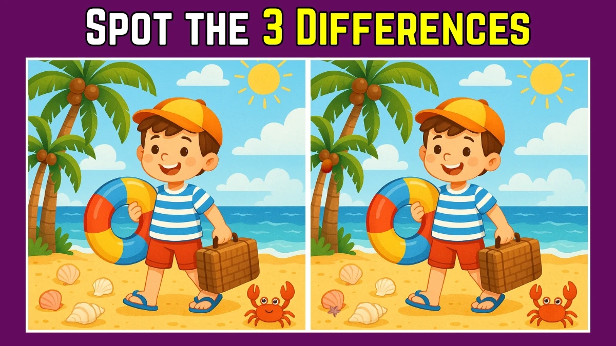 Spot the Difference: Within 8 Seconds Spot The 3 Differences in this Boy standing on a Beach Image