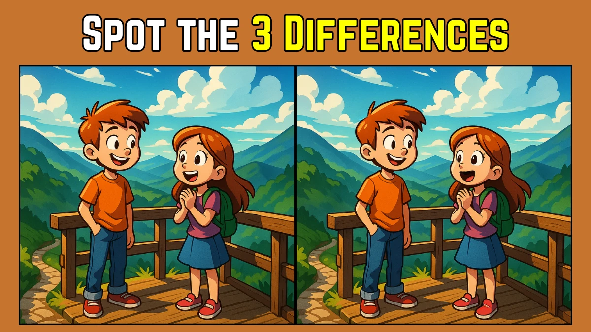Spot the Difference: Within 8 Seconds Spot The 3 Differences in this Couple Image