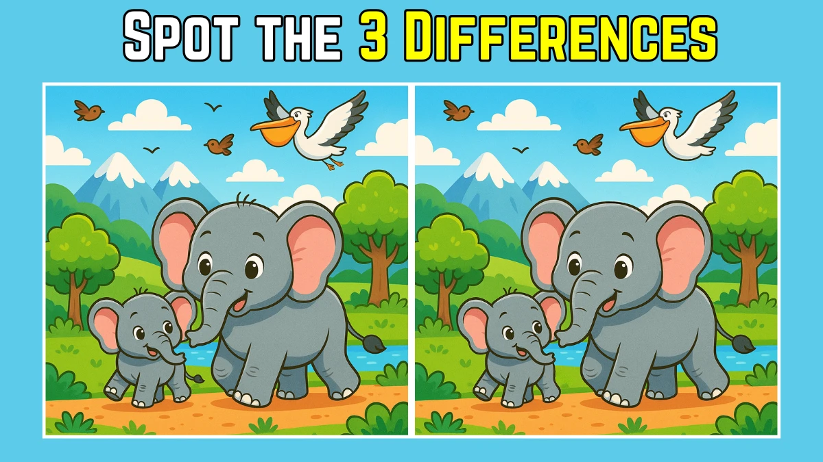Spot the Difference: Within 8 Seconds Spot The 3 Differences in this Elephant Image