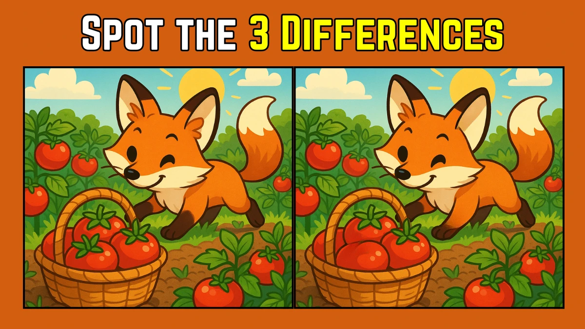 Spot the Difference: Within 8 Seconds Spot The 3 Differences in this Fox Image