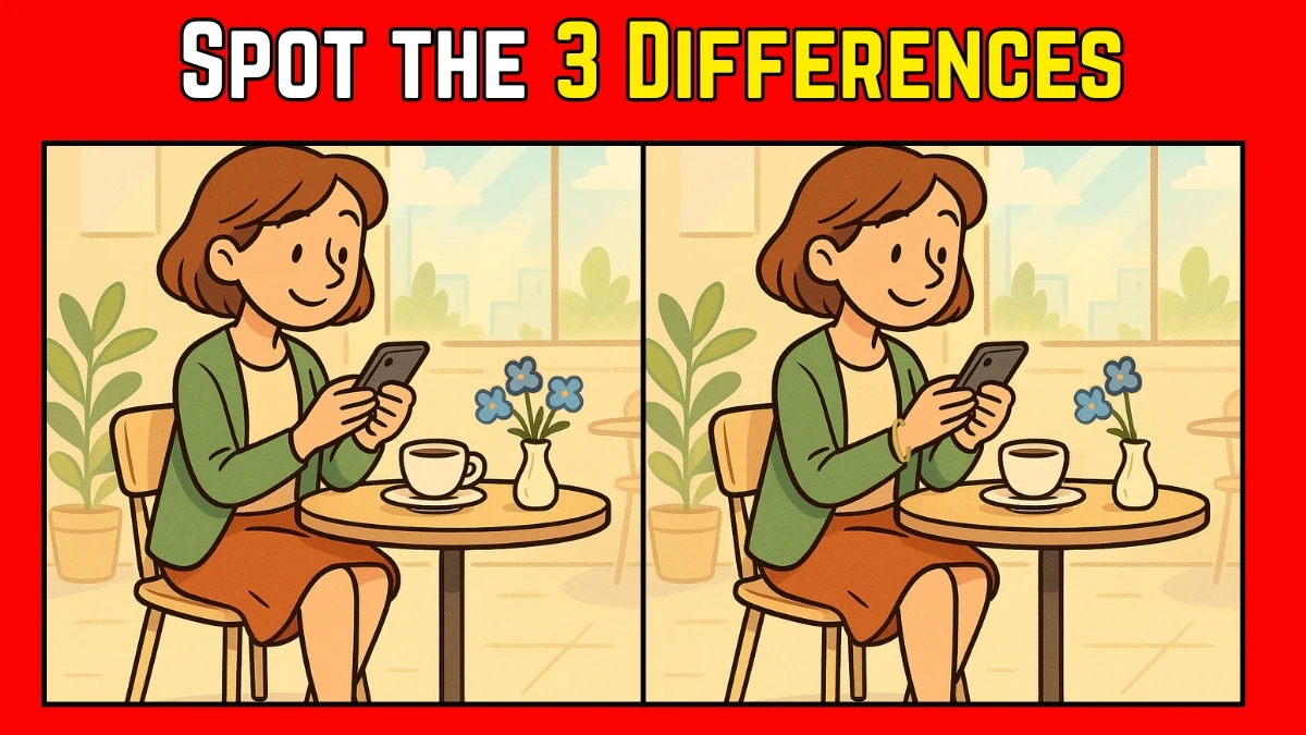 Spot the Difference: Within 9 Seconds Spot The 3 Differences in this Lady Image
