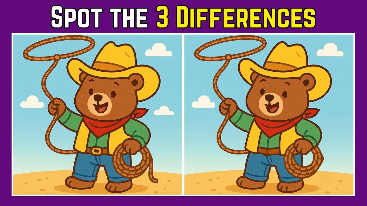 Spot the Difference: Within 9 Seconds Spot The 3 Differences in this Cowboy Teddy Image