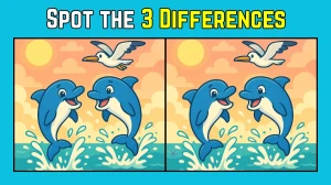 Spot the Difference: Within 9 Seconds Spot The 3 Differences in this Dolphin and Pelican Image