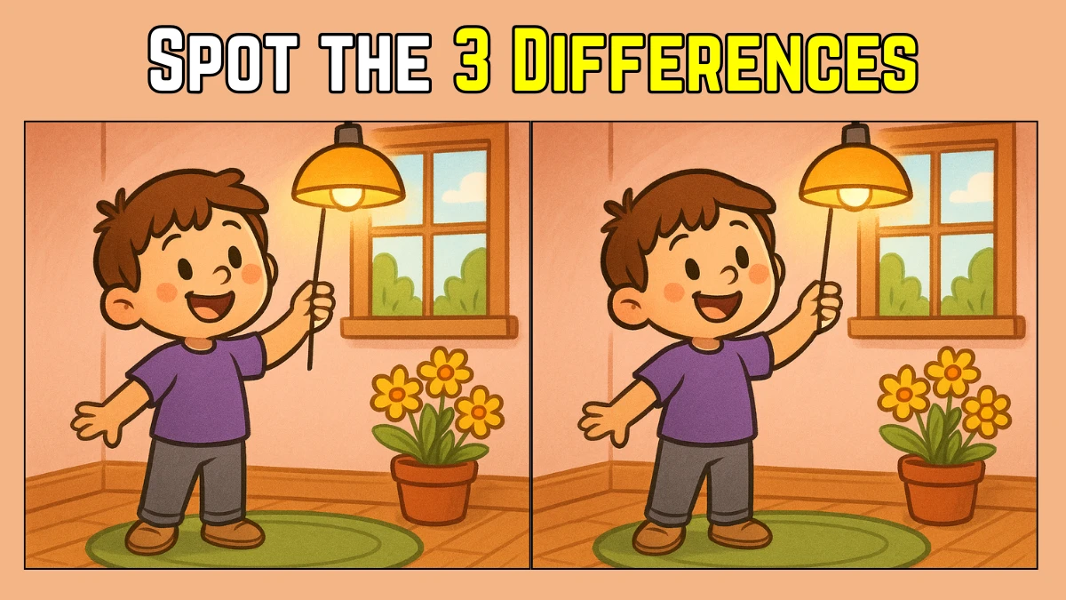 Spot the Difference: Within 9 Seconds Spot The 3 Differences in this Little Boy Image