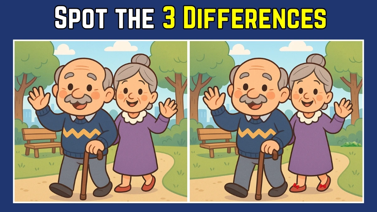 Spot the Difference: Within 9 Seconds Spot The 3 Differences in this Old Couple Image