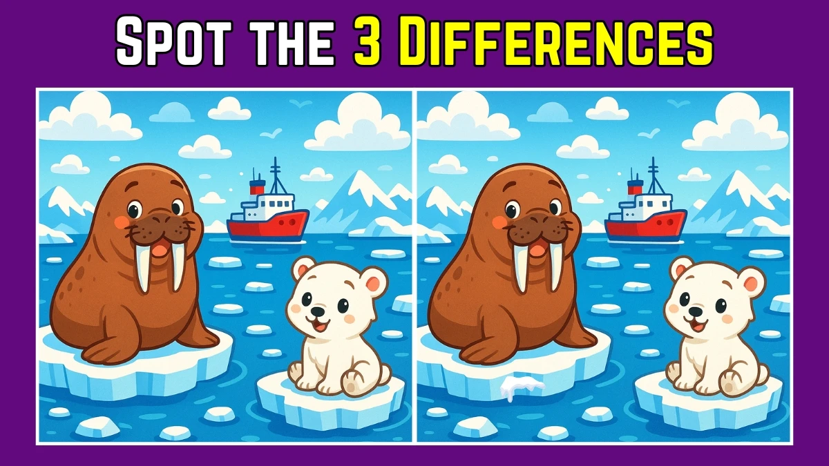 Spot the Difference: Within 9 Seconds Spot The 3 Differences in this Walrus and Polar Bear Image