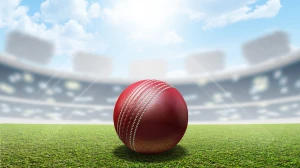 Thousands Gather to Watch Day-Night Cricket Match in Pulwama, Once Terror-Infested Area Thousands Gather to Watch Day-Night Cricket Match in Pulwama, Once Terror-Infested Area