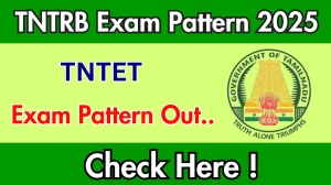 TNTET Exam Pattern 2025