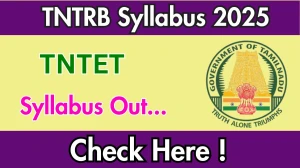 TNTET Syllabus 2025 Out Direct Link to Download Syllabus PDF here