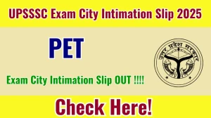 UPSSSC PET Exam City Intimation Slip 2025 OUT Download Link upsssc.gov.in UPSSSC PET Exam City Intimation Slip 2025 OUT Download Link upsssc.gov.in