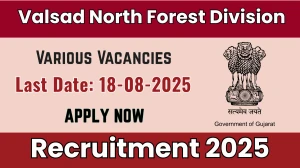 Valsad North Forest Division Recruitment 2025 - Apply Offline for 03 Veterinary Doctor, Serpentarium Curator and Other Posts