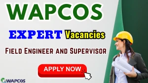 WAPCOS Field Engineer and Supervisor Recruitment 2025 - Apply Offline WAPCOS Field Engineer and Supervisor Recruitment 2025 - Apply Offline