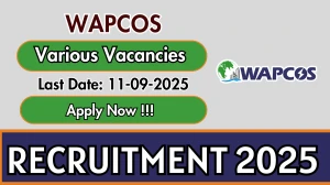 WAPCOS Recruitment 2025 - Apply Offline for 16 Team Leader, Site Engineer and More Posts by Sep 11