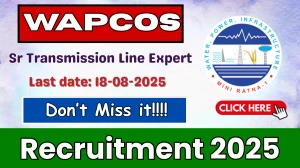 WAPCOS Sr Transmission Line Expert Recruitment 2025 - Apply Offline