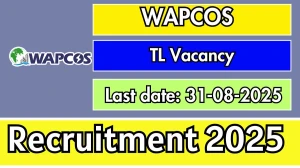 WAPCOS Team Leader Recruitment 2025 - Apply Offline