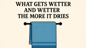 What Gets Wetter and Wetter the More It Dries? Riddle Answer Explained
