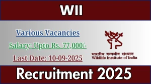WII Recruitment 2025 - Apply Offline for 53 Project Associate, Technical Assistant and More Posts