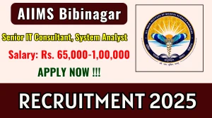 AIIMS Bibinagar Recruitment 2025 - Apply Offline for 02 Senior IT Consultant, System Analyst Posts