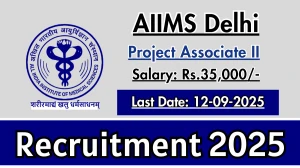 AIIMS Delhi Project Associate II Recruitment 2025 - Apply Online for 01 Posts by Sep 12