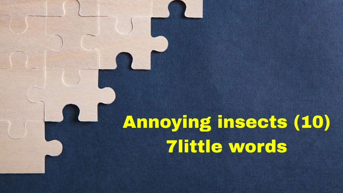 Annoying insects 7 Little Words 10 letters Answer