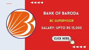 Bank of Baroda Business Correspondent Supervisor Recruitment 2025 - Apply Offline
