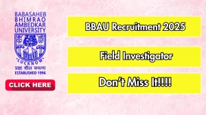 BBAU Field Investigator Recruitment 2025 - Apply Offline for 01 Posts
