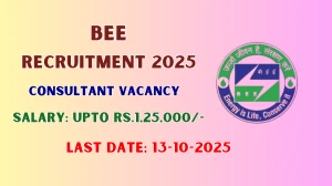 BEE Consultant Recruitment 2025 - Apply Offline for 01 Posts by Oct 13