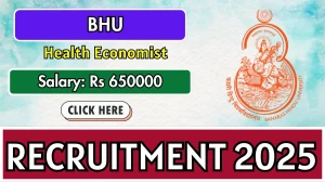 BHU Health economist Recruitment 2025 - Apply Offline for 1 Posts by Oct 6