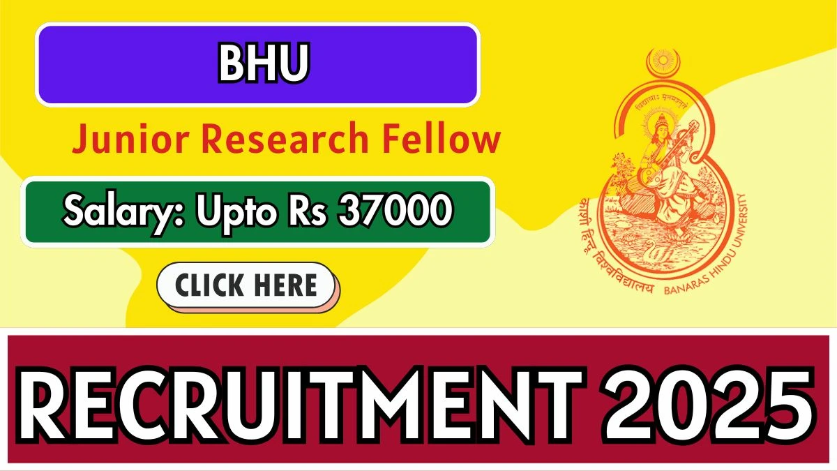 BHU జూనియర్ రీసెర్చ్ ఫెలో రిక్రూట్మెంట్ 2025 - ఆఫ్లైన్లో వర్తించండి BHU Junior Research Fellow Recruitment 2025 – Apply Offline