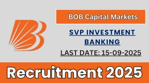 BOBCAPS SVP Investment Banking Recruitment 2025 - Apply Offline by Sep 15