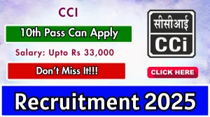 CCI Consultant Recruitment 2025 - Apply Offline for 05 Posts by Sept 15
