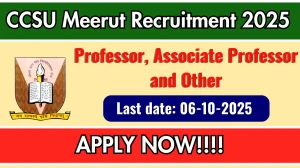 CCSU Meerut Recruitment 2025 - Apply Online for 09 Professor, Associate Professor and Other Postsby Sep 27